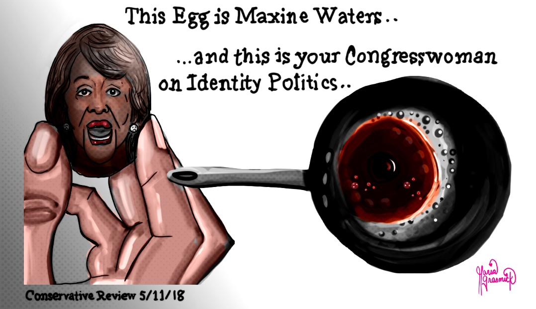 Maxine Waters. Political Cartoon. Identity Politics. post thumbnail image