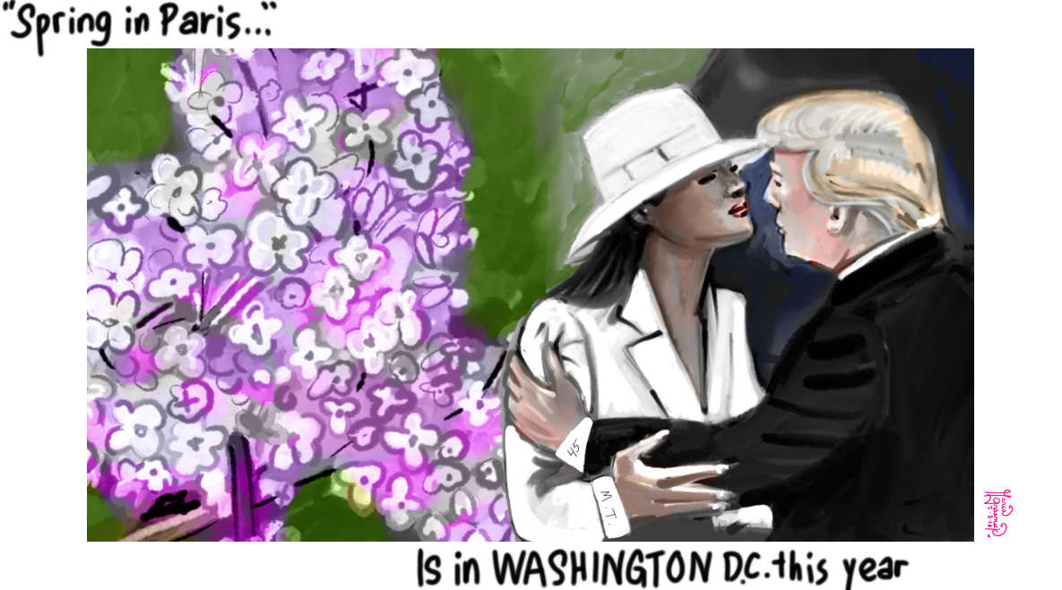 Melania Trump. Spring in Paris. Macron Visit. Lilacs. Political Cartoon post thumbnail image