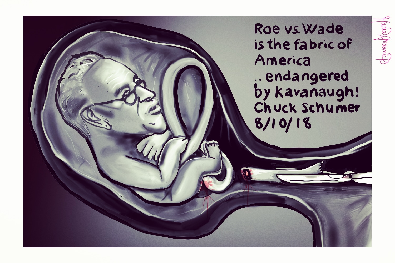 Chuck Schumer Roe vs Wade political cartoon 🏡 post thumbnail image